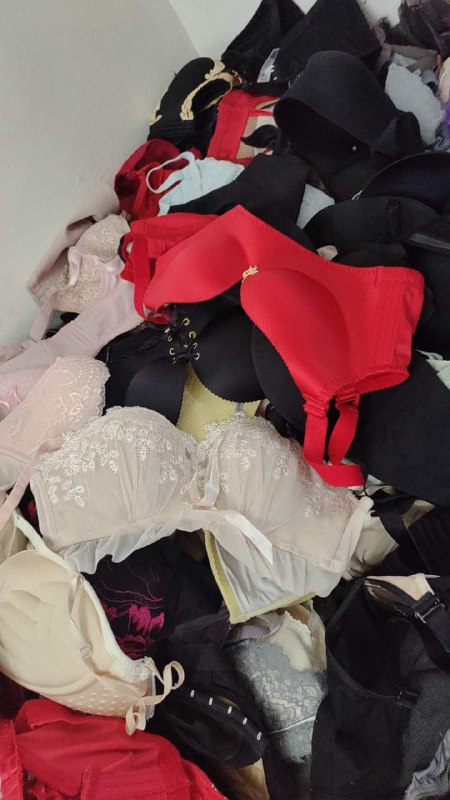 Photo gallery from 20231212, image 11