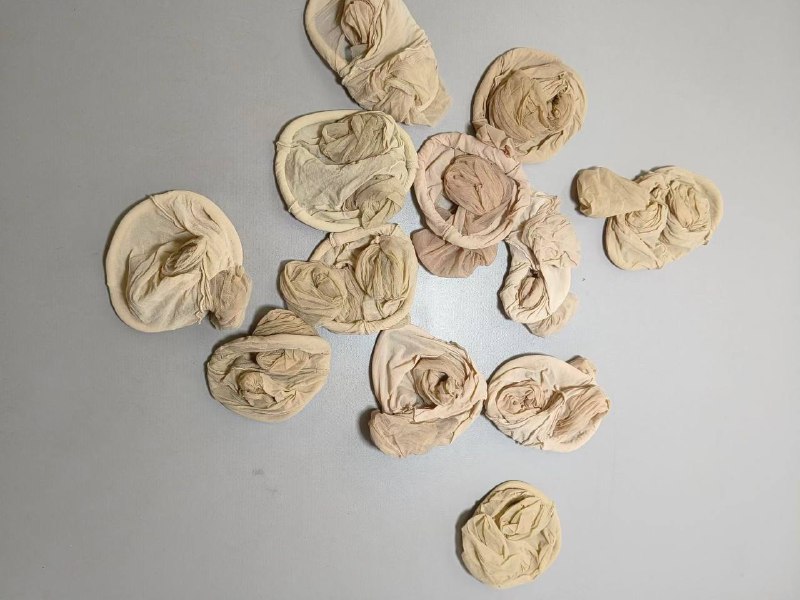 Photo gallery from 20240326, image 9