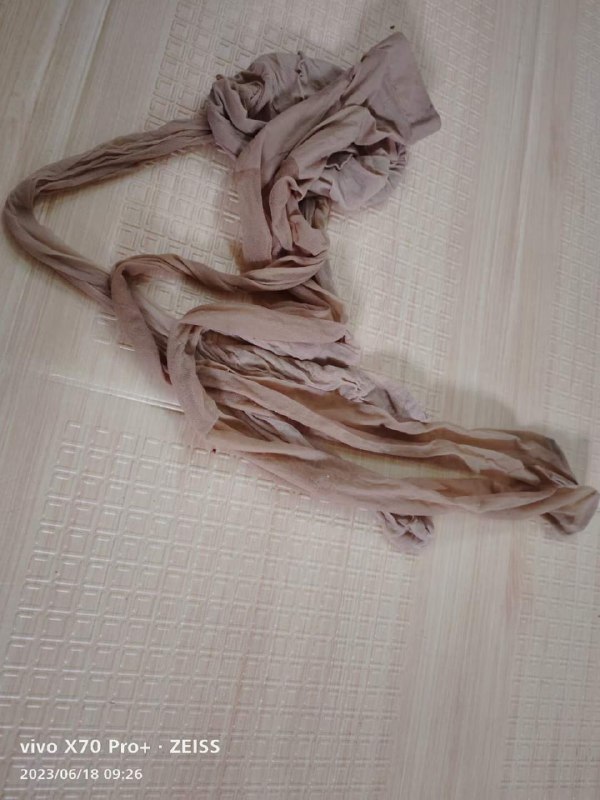 Photo gallery from 20230619, image 9