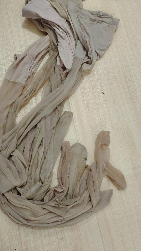 Photo gallery from 20240408, image 9