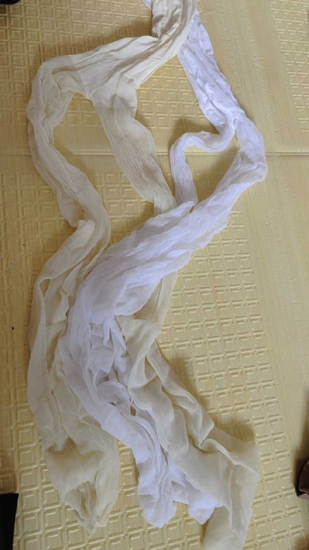 Photo gallery from 20250722, image 8