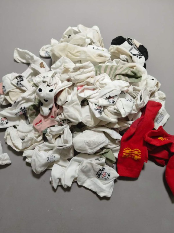 Photo gallery from 20240508, image 12