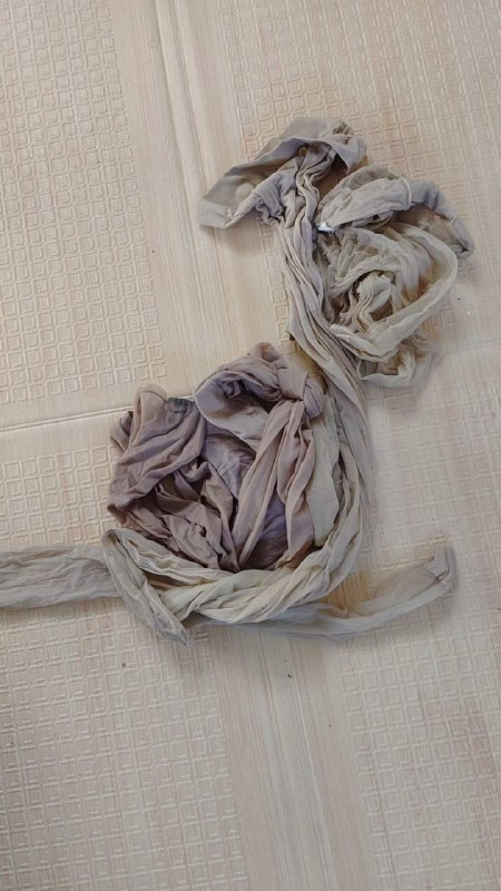 Photo gallery from 20231217, image 5