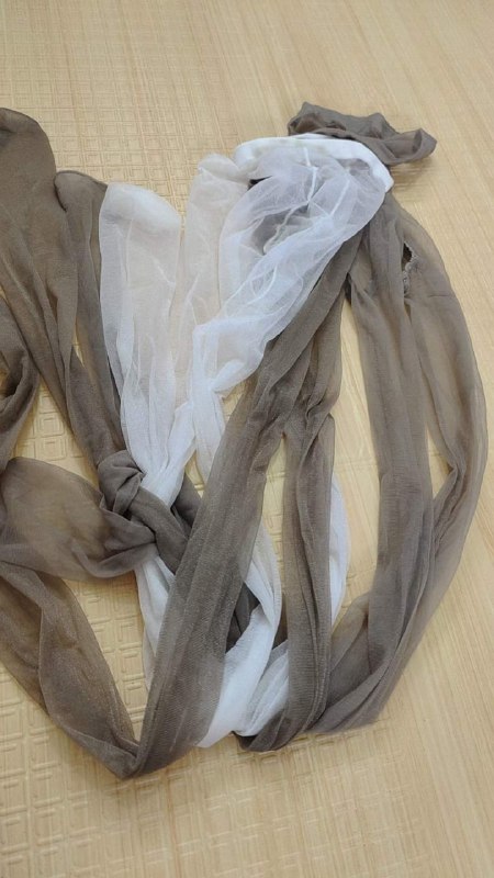 Photo gallery from 20230829, image 11