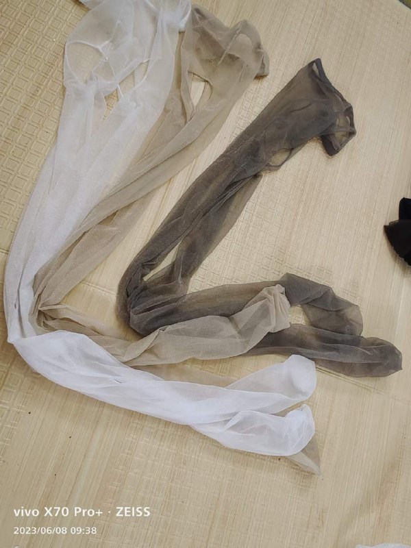 Photo gallery from 20230608, image 5