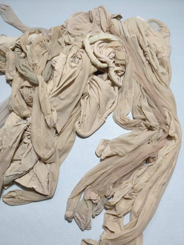 Photo gallery from 20230804, image 12