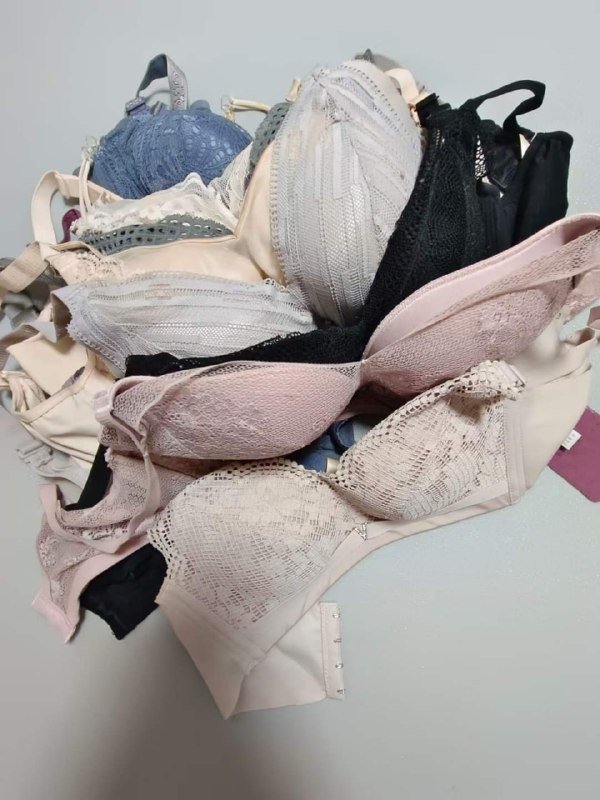 Photo gallery from 20230808, image 11