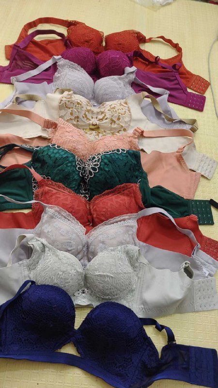 Photo gallery from 20251128, image 11