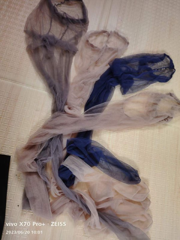 Photo gallery from 20230620, image 11