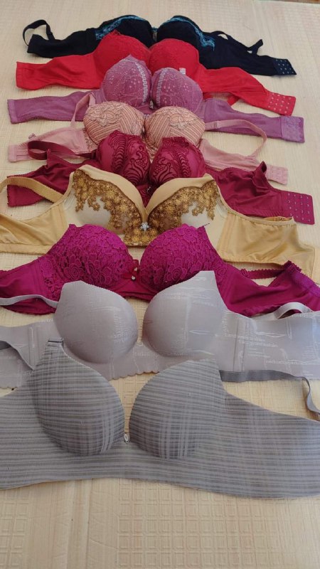 Photo gallery from 20230712, image 5