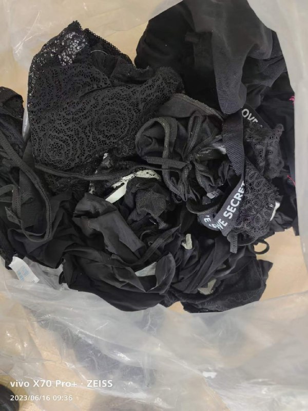 Photo gallery from 20230616, image 11