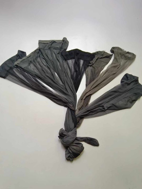 Photo gallery from 20240719, image 8