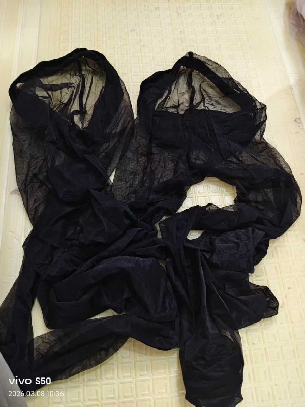 Photo gallery from 20260308, image 11