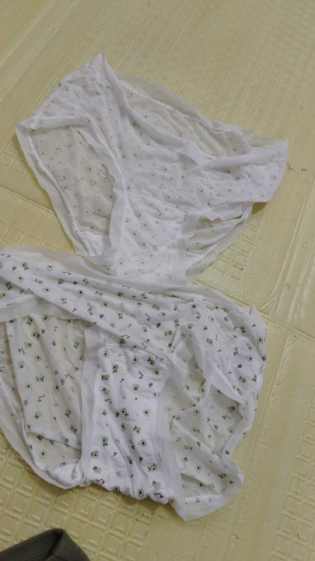 Photo gallery from 20251208, image 10