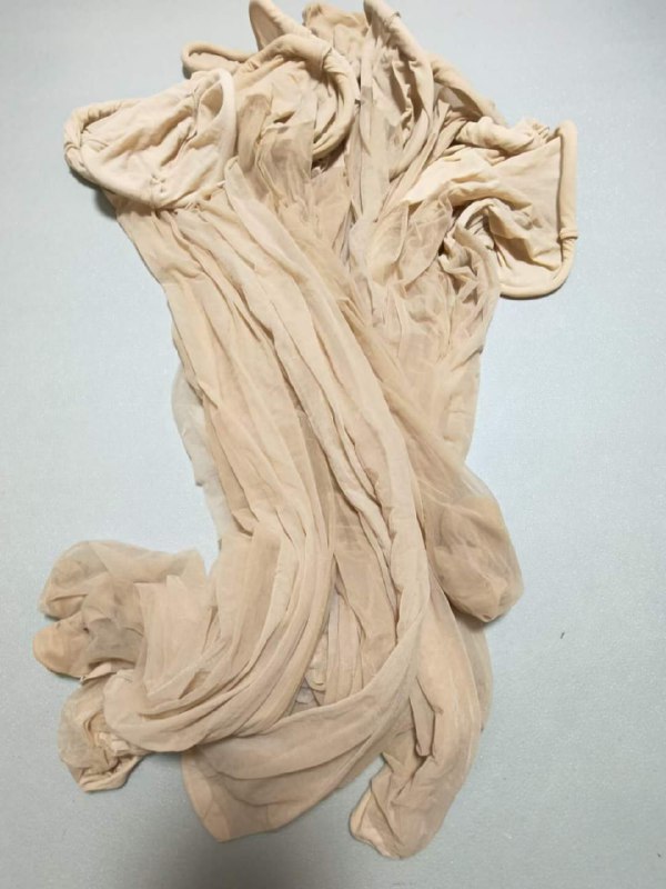 Photo gallery from 20230731, image 3