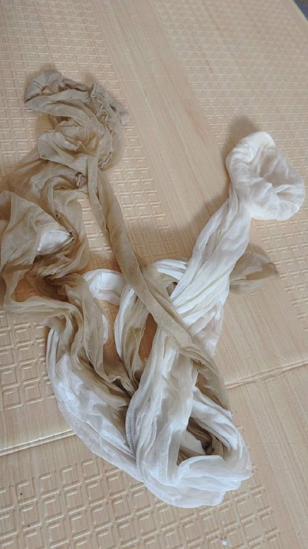 Photo gallery from 20230809, image 11