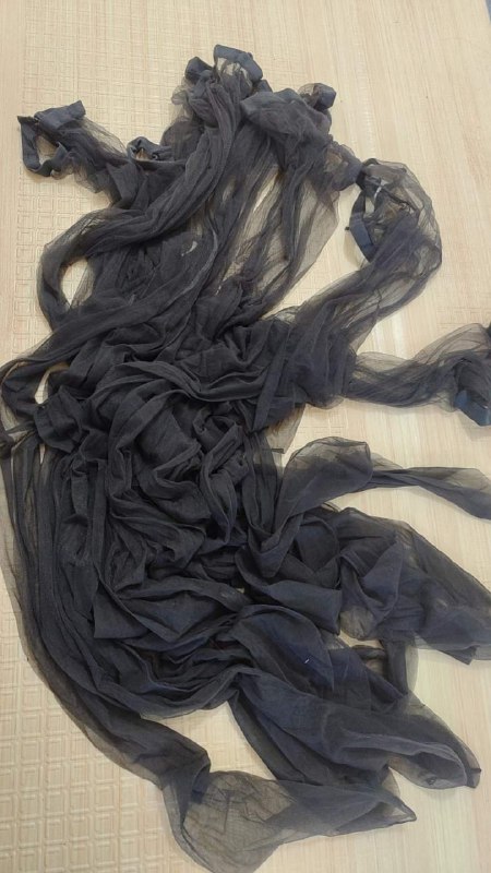 Photo gallery from 20240310, image 8