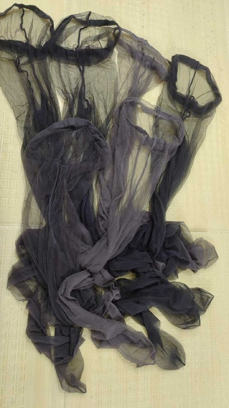 Photo gallery from 20251111, image 9