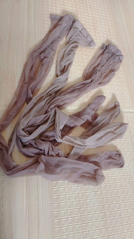 Photo gallery from 20230813, image 9