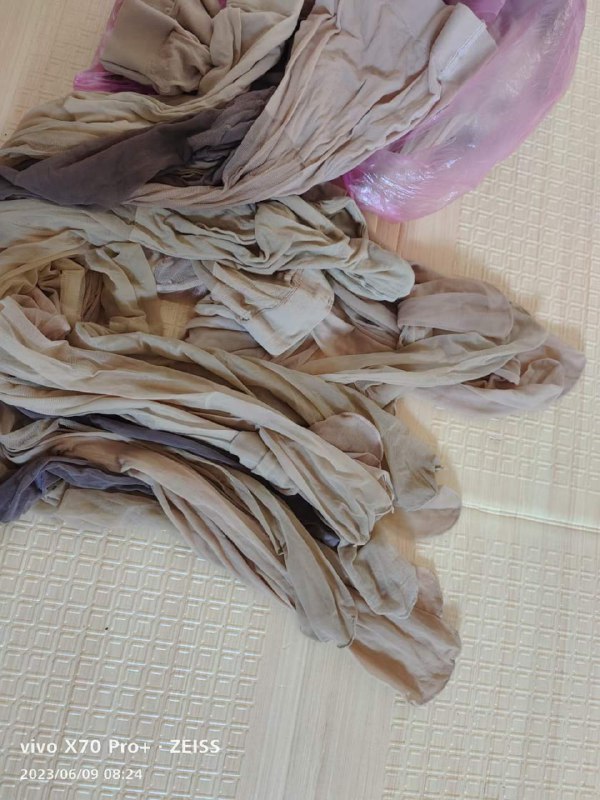 Photo gallery from 20230609, image 8