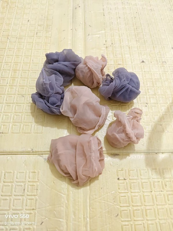 Photo gallery from 20260330, image 6