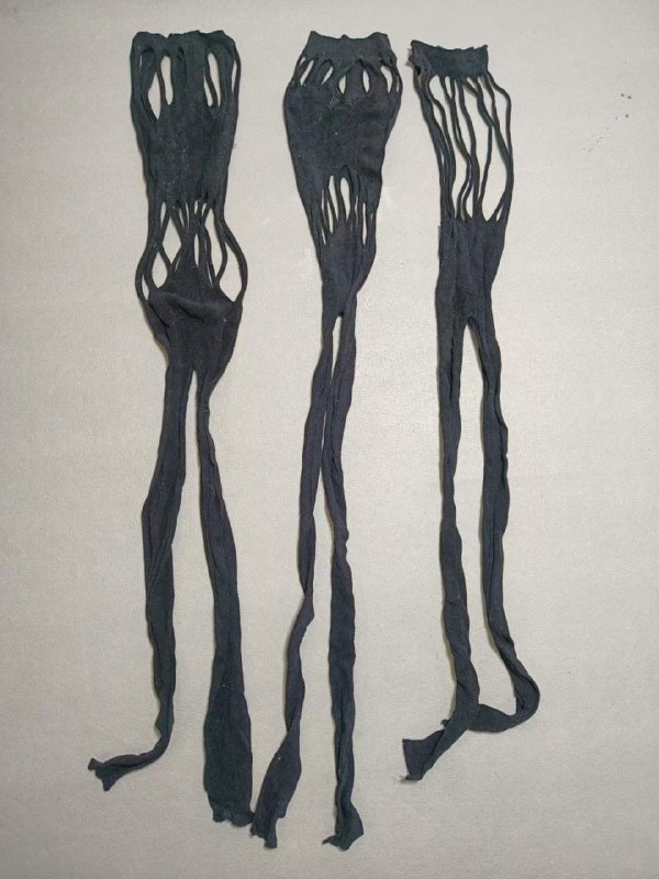 Photo gallery from 20230913, image 10