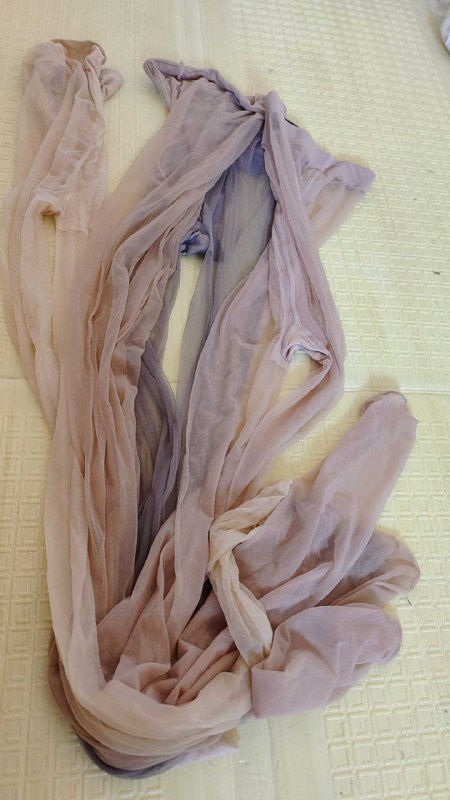 Photo gallery from 20250903, image 5