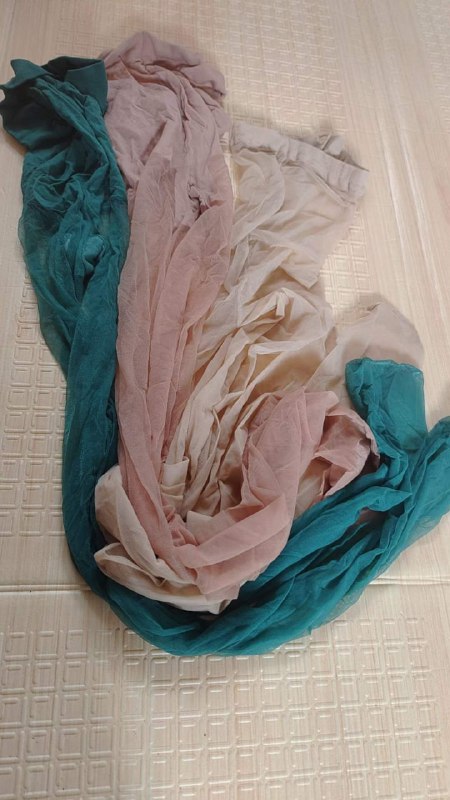 Photo gallery from 20230722, image 8