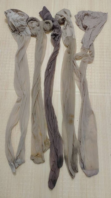 Photo gallery from 20240408, image 10