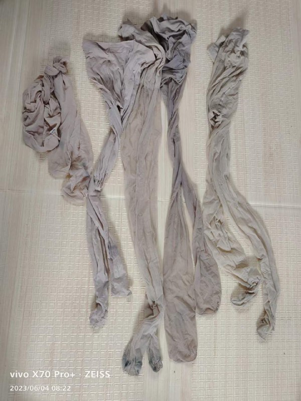 Photo gallery from 20230604, image 9