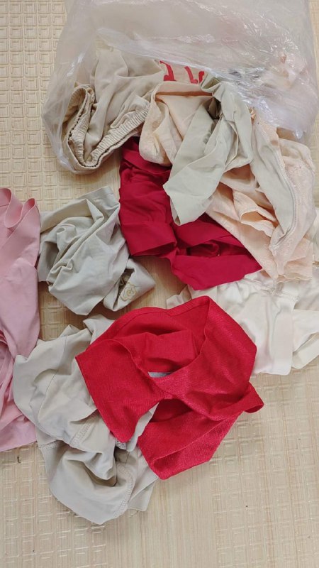 Photo gallery from 20230823, image 5