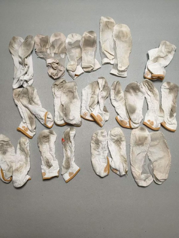 Photo gallery from 20231105, image 5