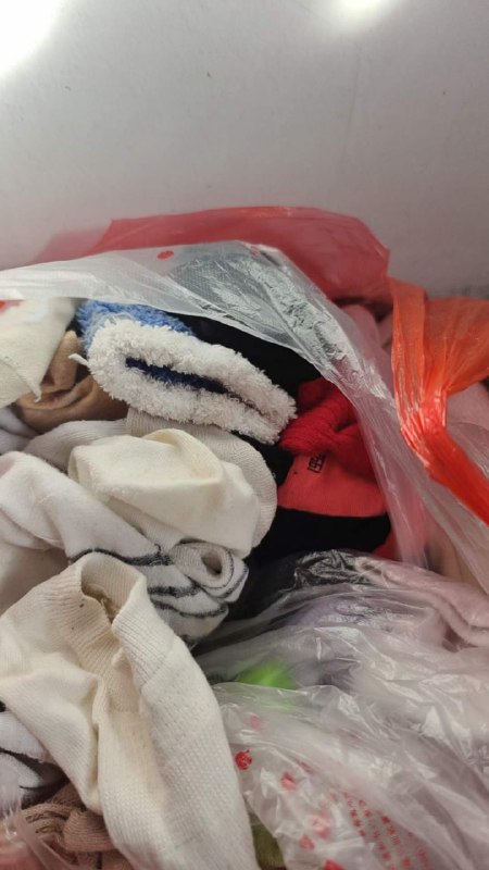 Photo gallery from 20231208, image 7