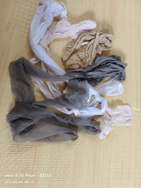 Photo gallery from 20230604, image 11