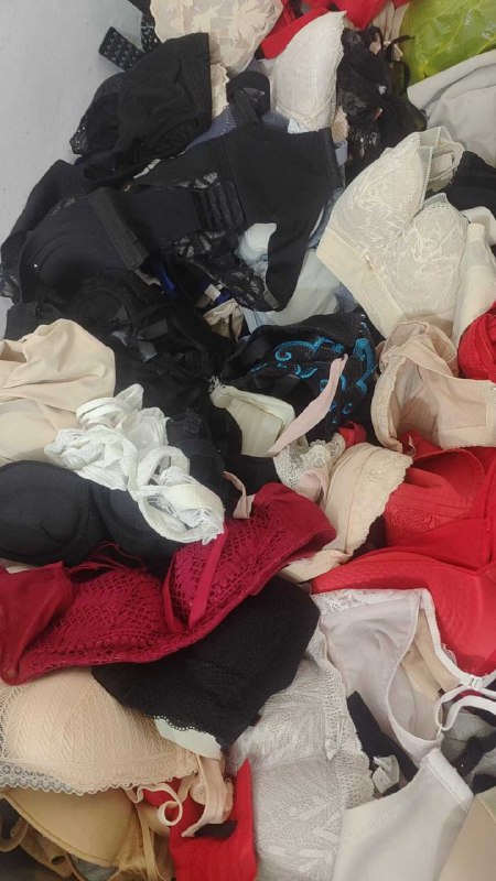 Photo gallery from 20250812, image 11