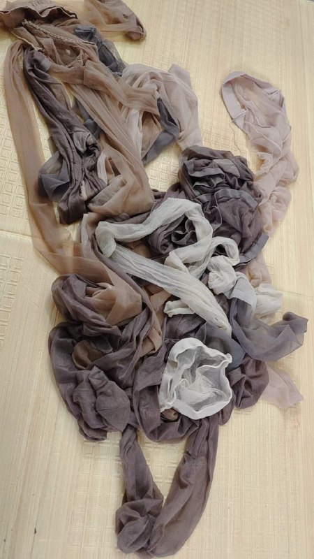 Photo gallery from 20231011, image 9