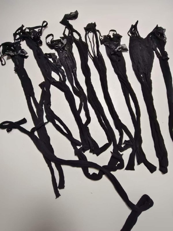 Photo gallery from 20230716, image 3