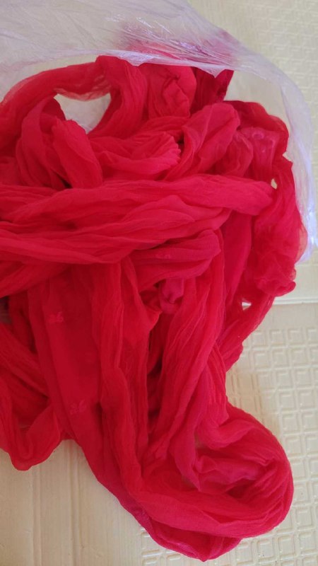 Photo gallery from 20250803, image 5