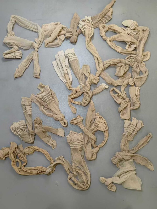 Photo gallery from 20251218, image 10