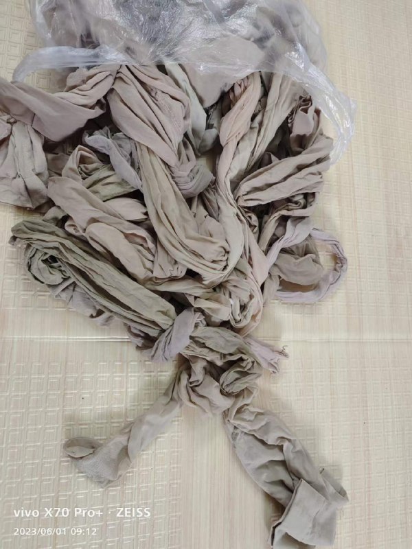 Photo gallery from 20230601, image 11