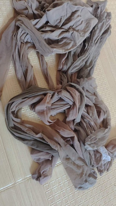 Photo gallery from 20230731, image 12