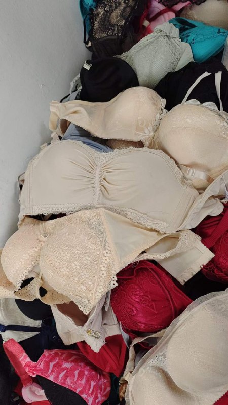 Photo gallery from 20230923, image 10