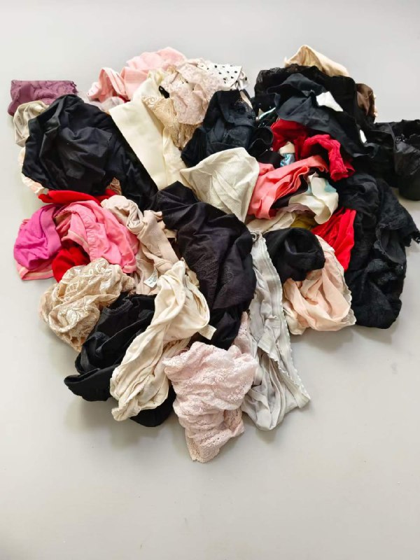 Photo gallery from 20240301, image 11