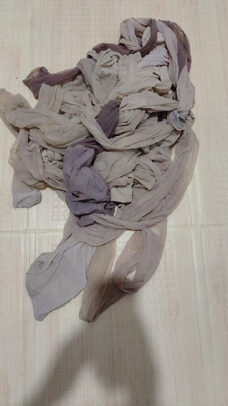 Photo gallery from 20231219, image 11