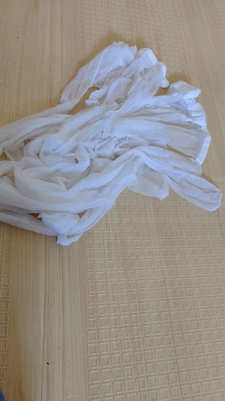 Photo gallery from 20230822, image 12