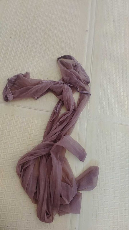 Photo gallery from 20250928, image 8