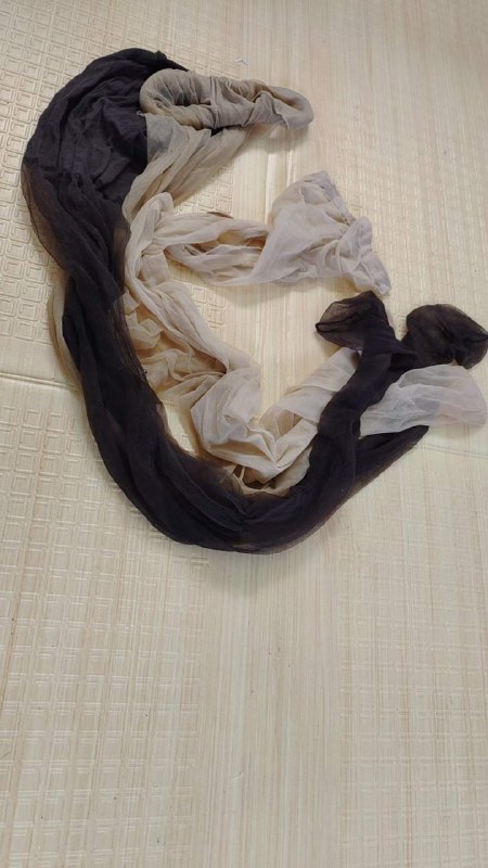 Photo gallery from 20230721, image 4