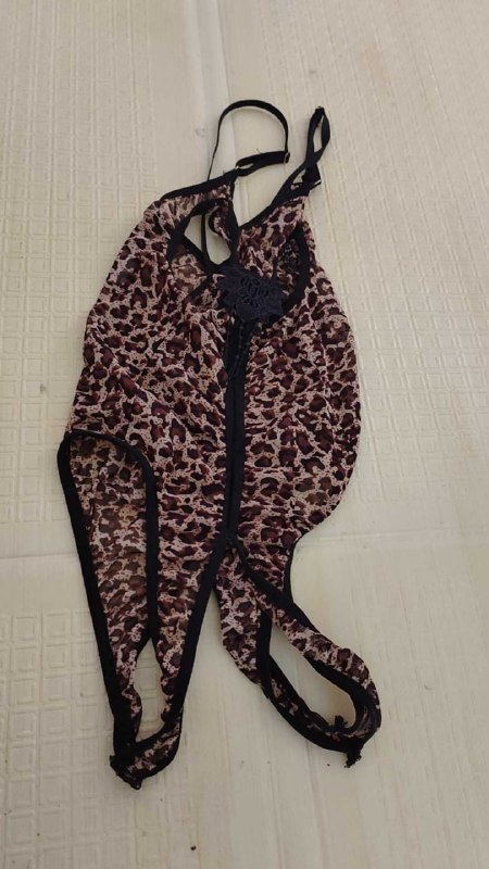 Photo gallery from 20250822, image 7