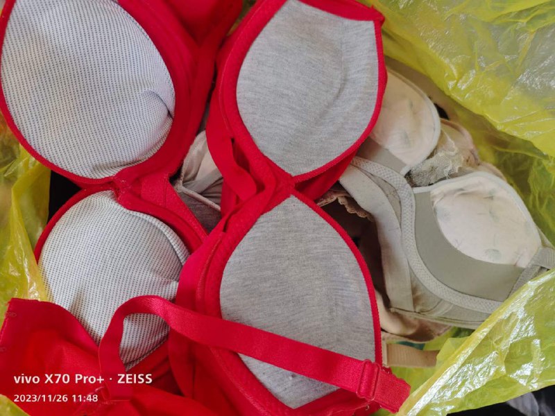 Photo gallery from 20231126, image 8