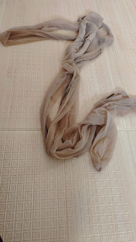 Photo gallery from 20231010, image 9